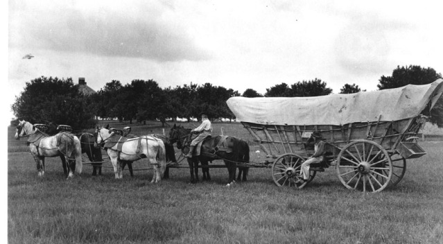 wagon (1)